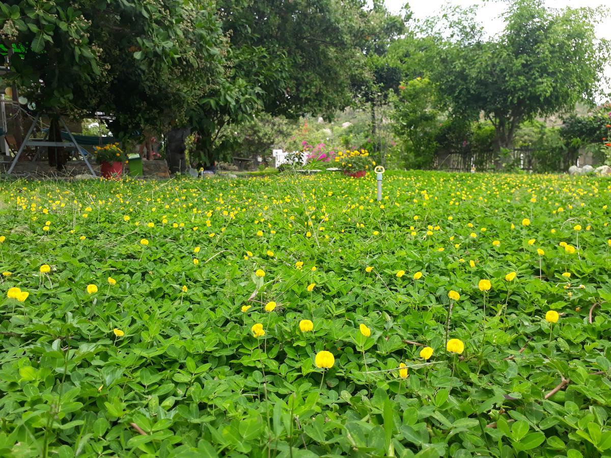 Dao Hoa Vang Villa Cam Ranh Exteriör bild