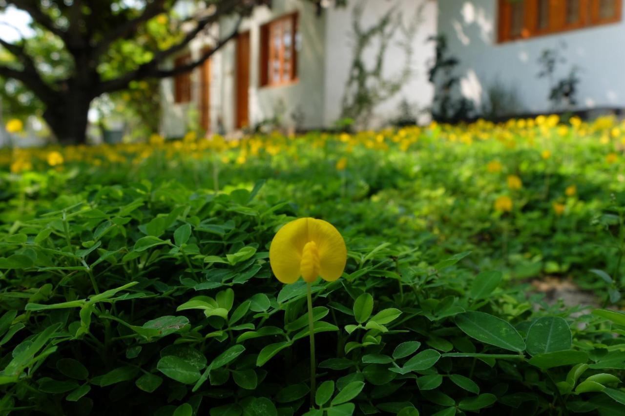 Dao Hoa Vang Villa Cam Ranh Exteriör bild