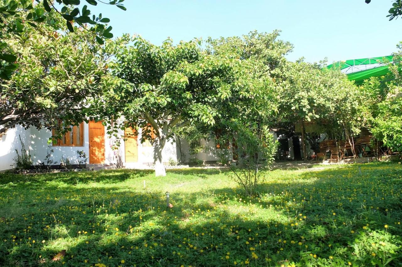 Dao Hoa Vang Villa Cam Ranh Exteriör bild